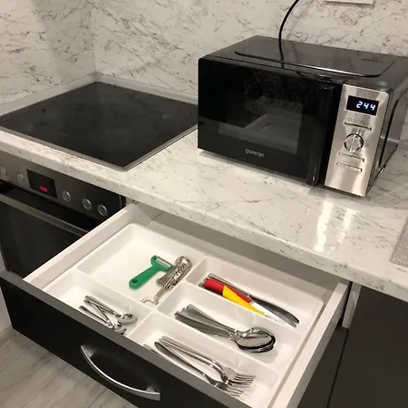 Ultra Lux Free Underground Secure Parking 아파트 파자르지크